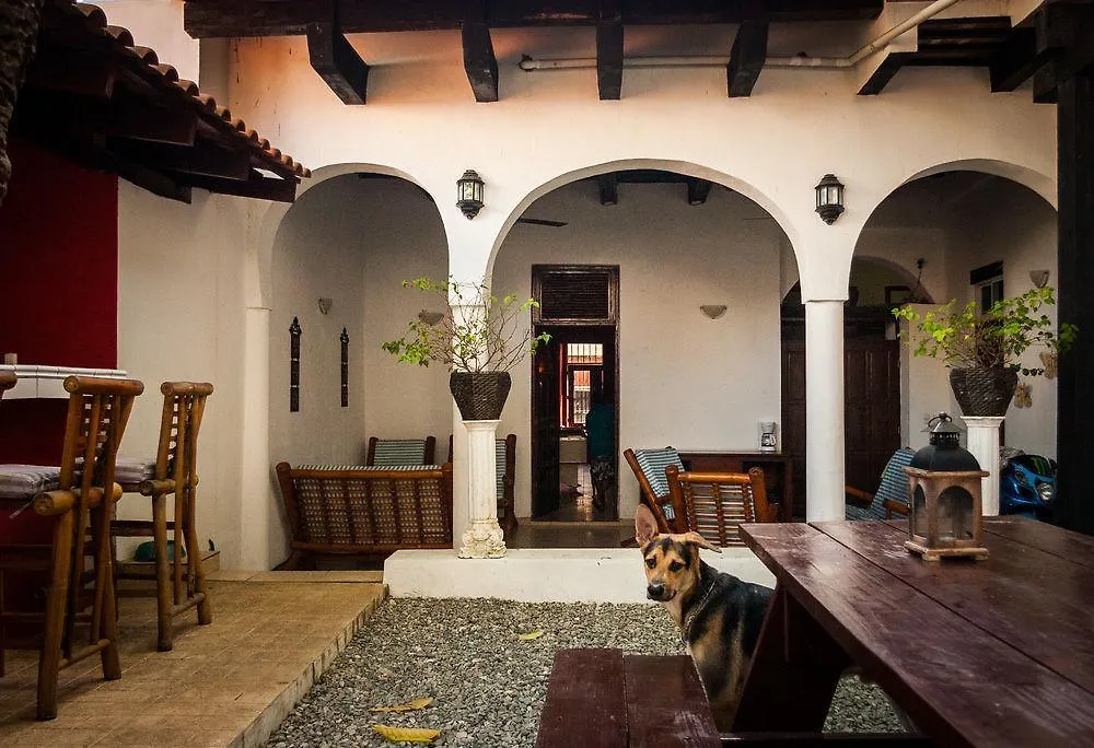 Island Life Hostel Santo Domingo Dominikana